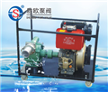 KYB型柴油機(jī)自吸泵（柴油機(jī)自吸滑板泵)